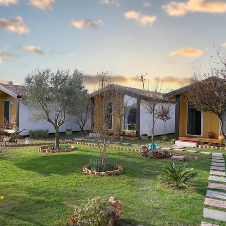 Hotel Villa Linda Σκόδρα Εξωτερικό φωτογραφία