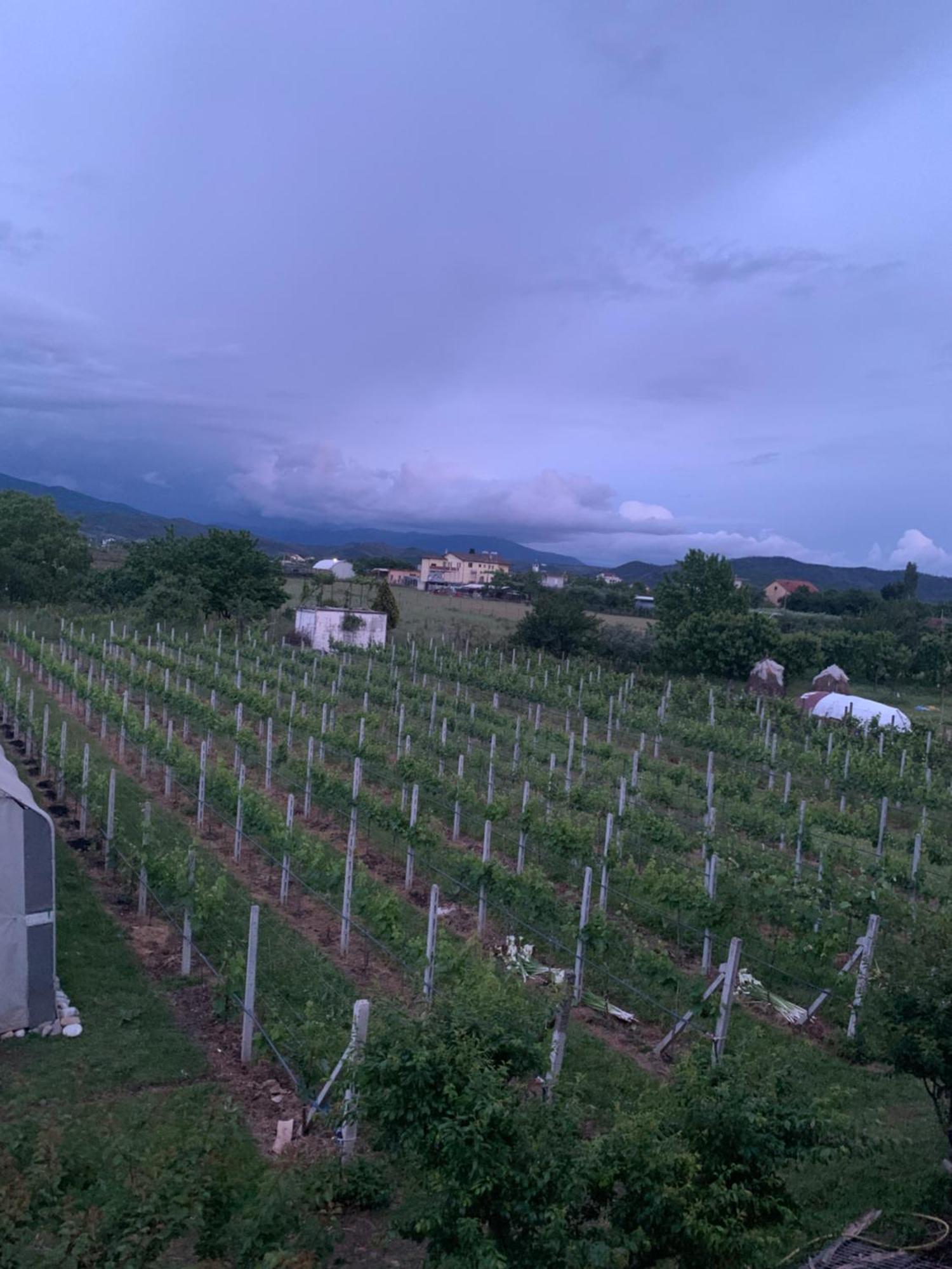 Hotel Villa Linda Σκόδρα Εξωτερικό φωτογραφία