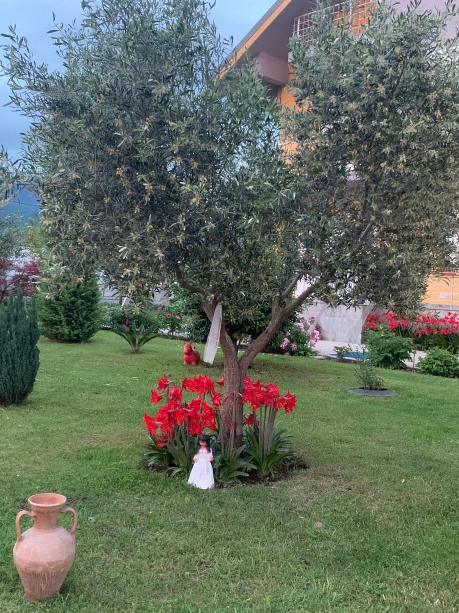Hotel Villa Linda Σκόδρα Εξωτερικό φωτογραφία