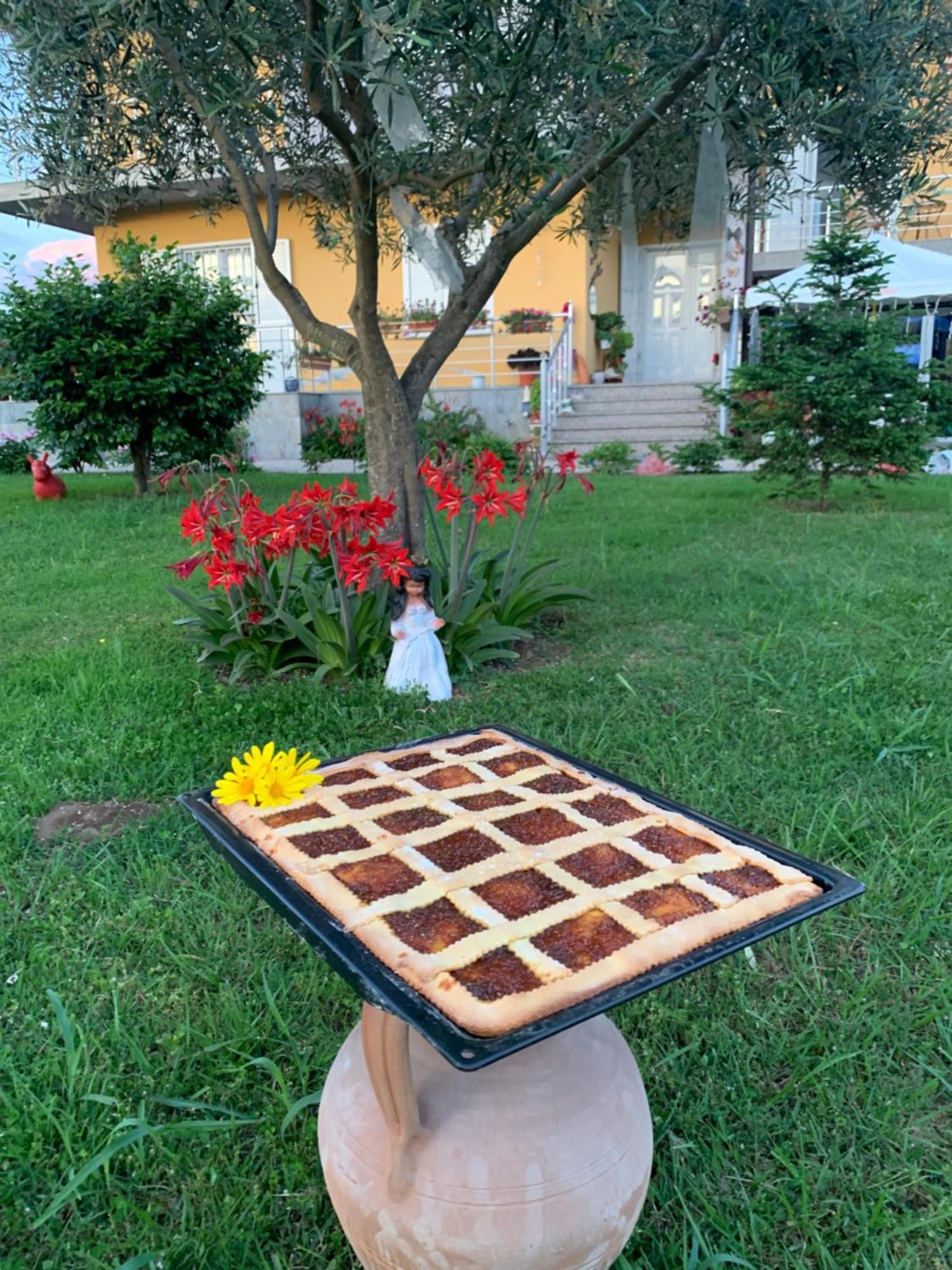 Hotel Villa Linda Σκόδρα Εξωτερικό φωτογραφία