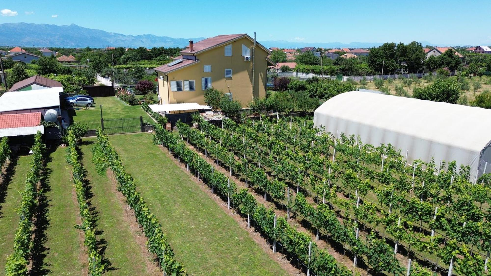 Hotel Villa Linda Σκόδρα Εξωτερικό φωτογραφία